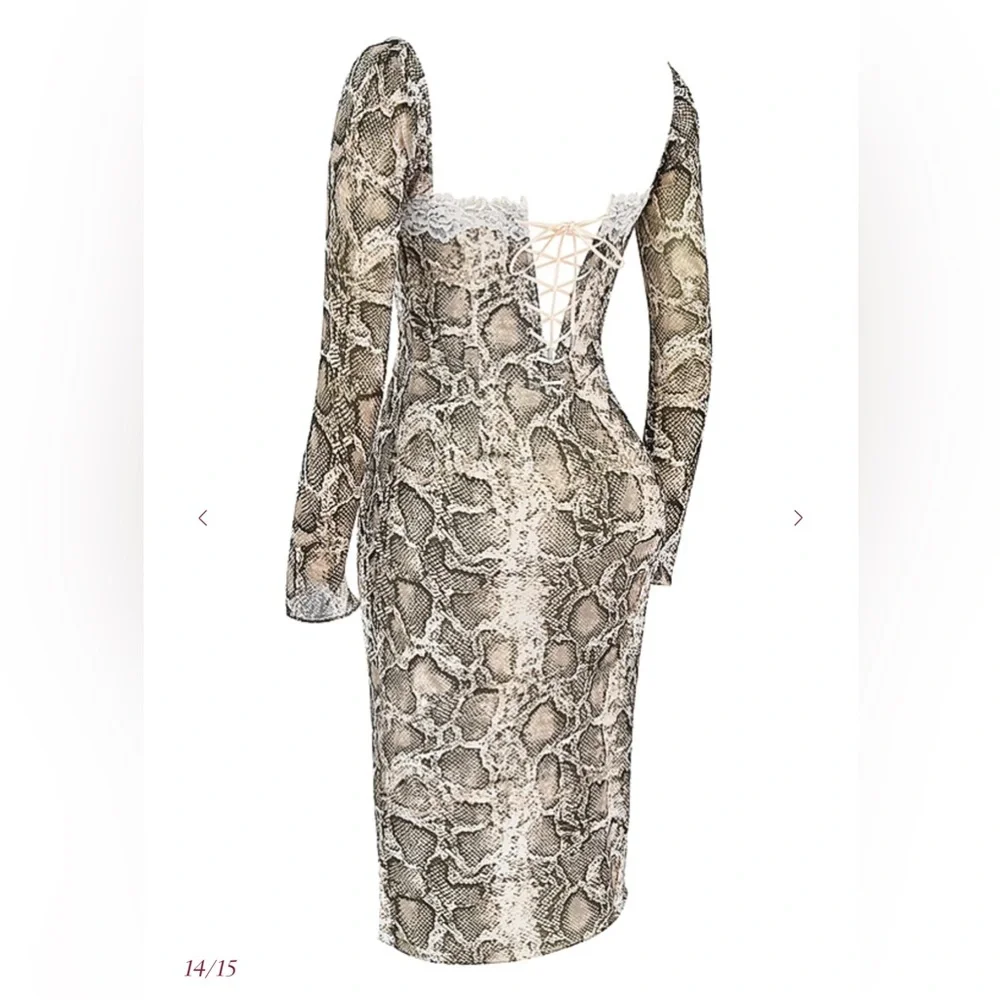SERAPHINA
Snake Print Corset Dress - Picture 9 of 10
